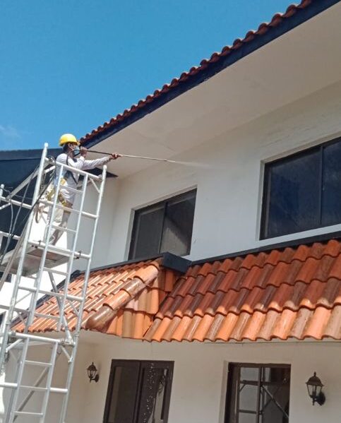 Landed House Painting in SG , Professional