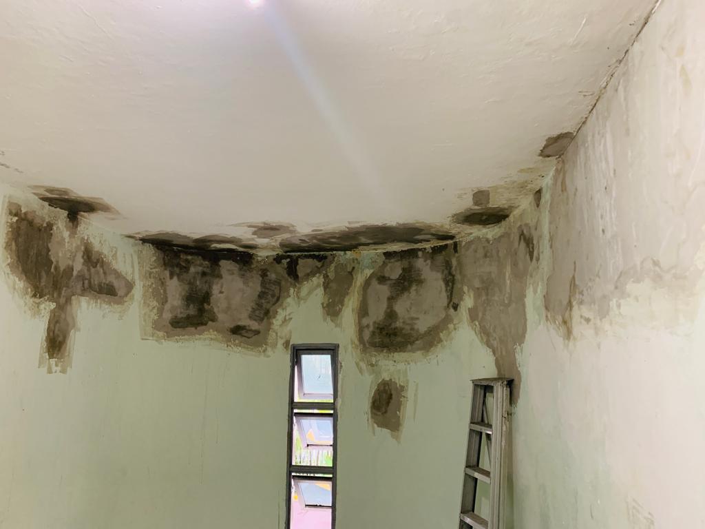 Mold cleaning before the house painting service in SG.