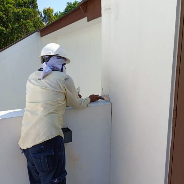 Landed House SG Exterior Painting