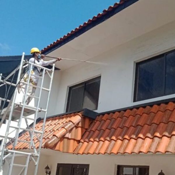 Landed House Painting in SG , Professional